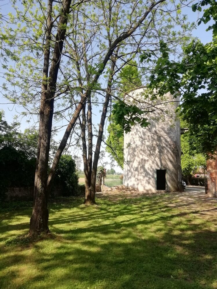 silos 7 pozzi 1727342319 gallery 750x999